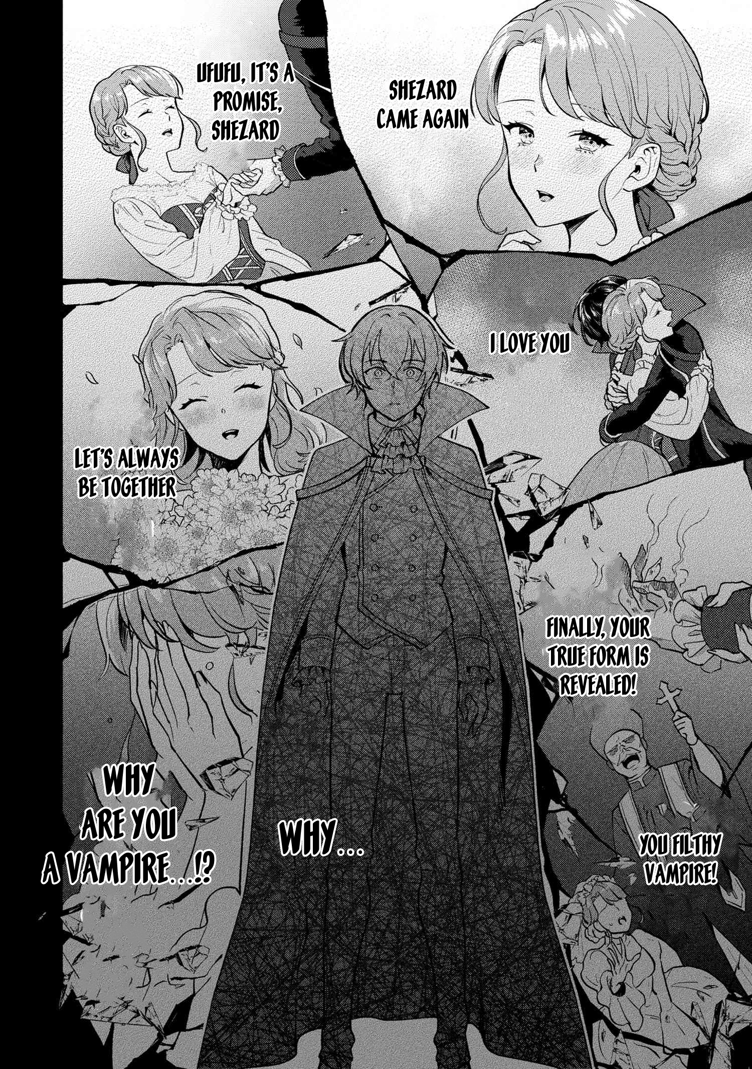 The Zero-Weakness Vampire’s Territory Reforms Chapter 1 - . Page 15